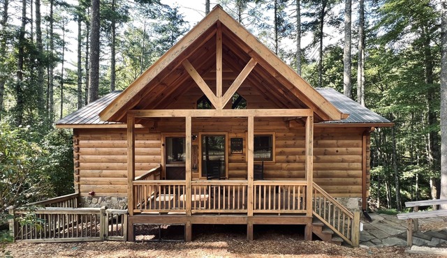 Black Bear Hollow, your perfect 2bed 2bath escape in Cherry Log, Georgia!