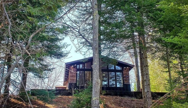 Black Bear Lodge: Fish, Hike, and Relax in Michigan's Summer Paradise