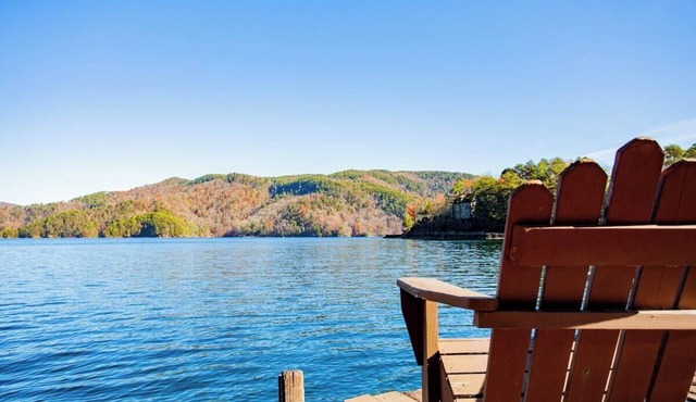 Black Bear Lodge - Studio House, Sleeps 9