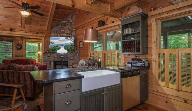 Black Bear Lodge Near Dupont State Forest