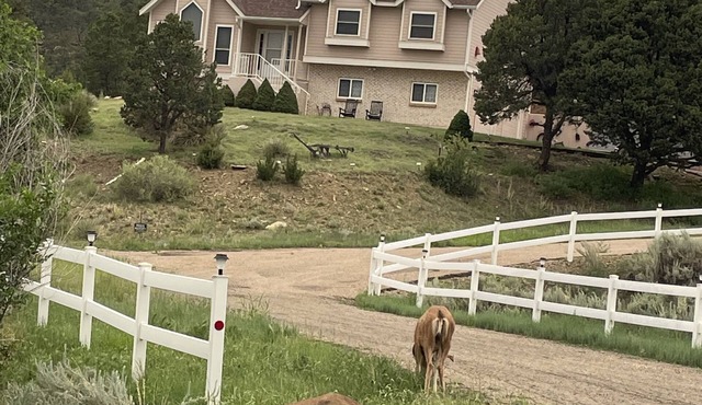 Black Bear Ridge Vacation Home