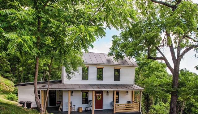 Black Bear Vista-3BR, Fast Wi-Fi