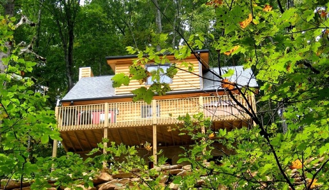 Black 'Beary' Cabin an incredible vacation retreat