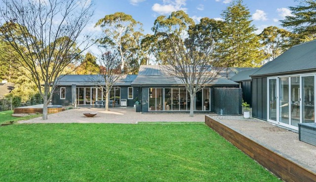 Black Cockatoo Burradoo