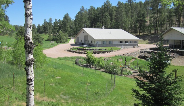 Black Hills Bungalow: Great Place To Stay While Exploring The Black Hills.