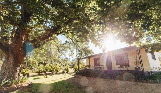 Black Horse Park Serenity and beauty