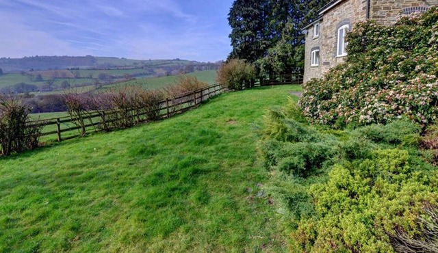 Black Patch in Presteigne