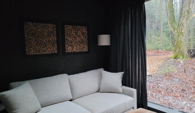 Black Pine Tree House