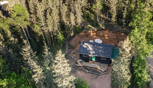 Black Ridge Cabin - Secluded Forest Retreat with Private Hot Tub