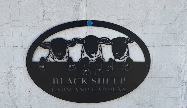 Black Sheep Farm and Gardens