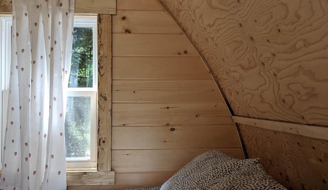 Black Spruce Camping Pod