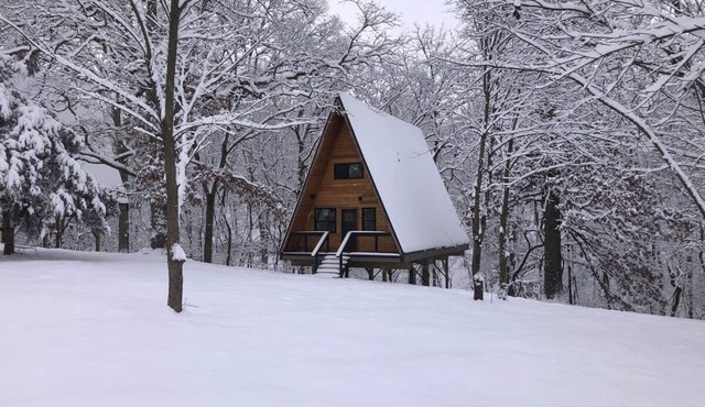 Black Walnut Bungalow-6.5 miles to Bentonville