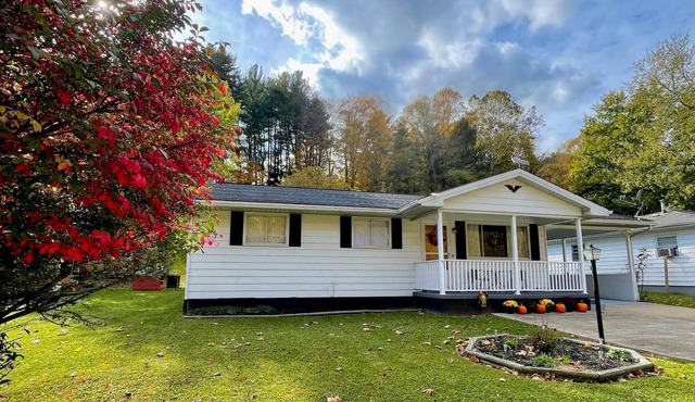 Black Walnut House - 3BR with Starlink Wi-Fi, grill, big back yard