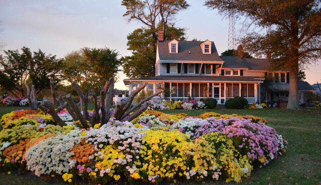 Black Walnut Point Inn
