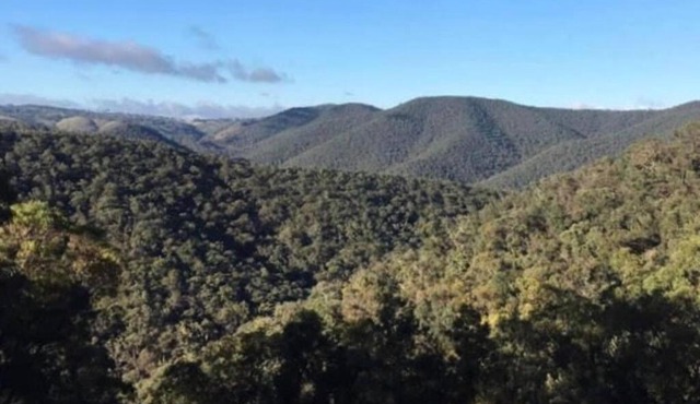 Black Wattle Cabin Turon Escape Capertee