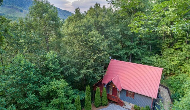 Blackberry Ridge – A North Carolina Dream Vacation Spot – Very Secluded!