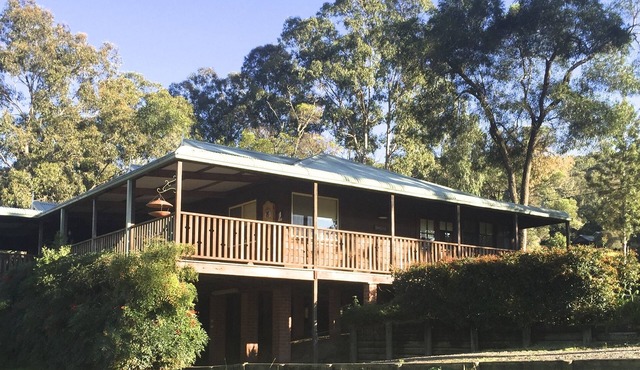 Blackwattle at Barrington Tops