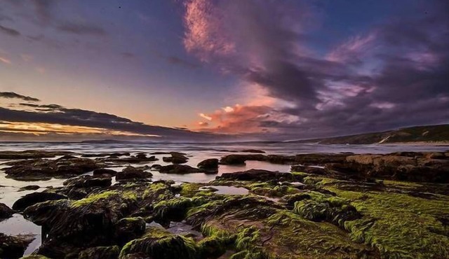 Blackwood Cottage - Pet Friendly Holiday Stay