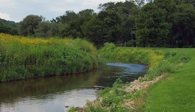 Blakley Hobbit Campground-Tent spot #1