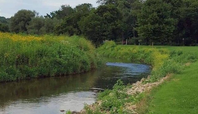 Blakley Hobbit Campground-Tent spot #2