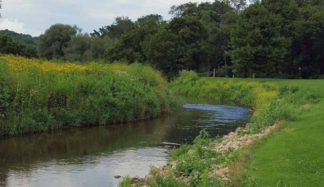 Blakley Hobbit Campground-Tent spot #3