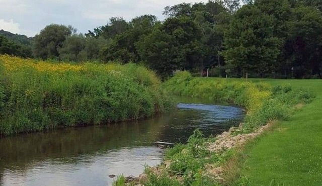 Blakley Hobbit Campground-Tent spot #4