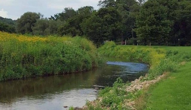 Blakley Hobbit Campground-Tent spot #5