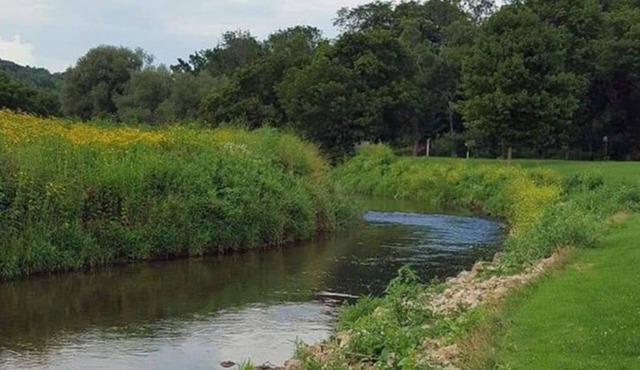 Blakley Hobbit Campground-Tent spot #6