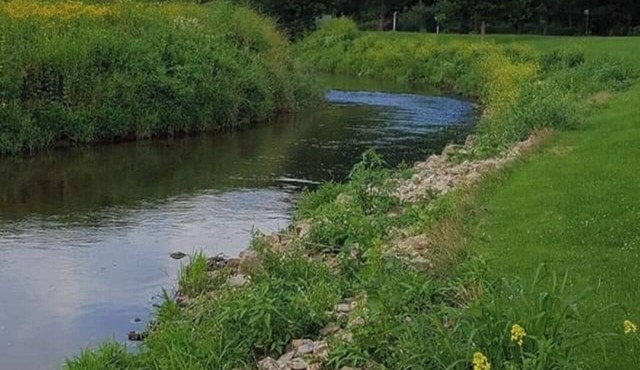 Blakley Hobbit Campground-Tent spot #10