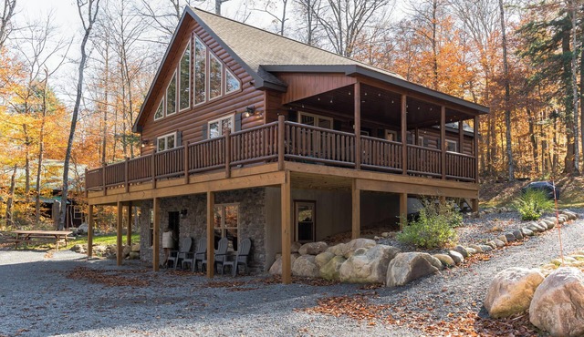 Blissful Bear on South Shore Road