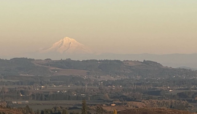 Blissful Peace w/ Million $ View