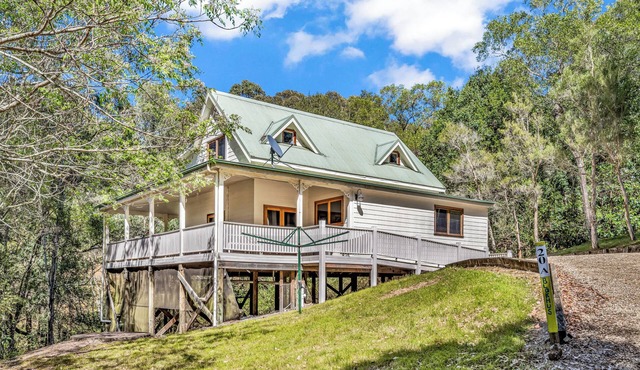 Blokhus - a stunning treetop retreat immersed in nature