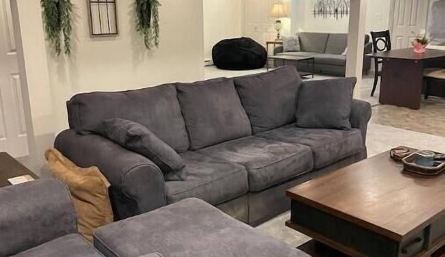 Bloom/Danville Private & Spacious Perch- added Disc for 3+monLarge Washer/Dryer