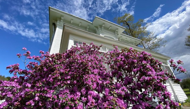 Bloom Farm Guesthouse