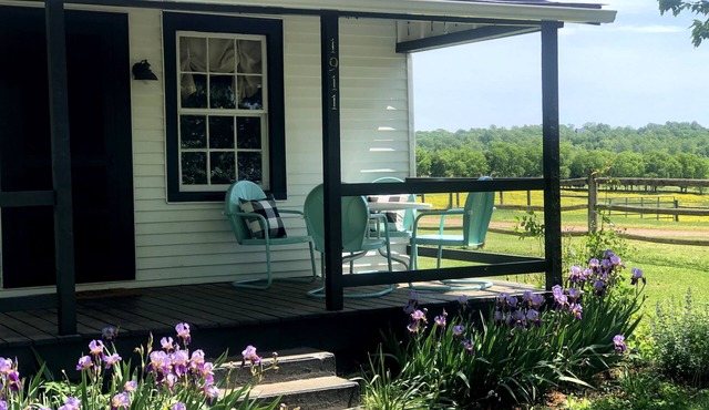 Bloomingdale Honeymoon Cabin Vintage Retreat with Mountain Views