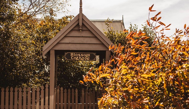 Blossom Cottage Blackheath couples family friendly gas log fire bush walks cafes