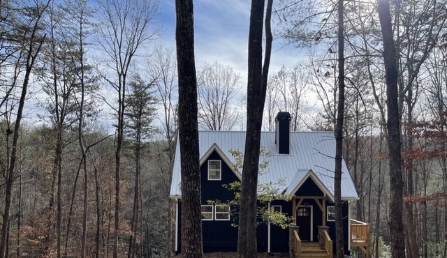 Blue Bear Cottage - NEW cabin centrally located in North Georgia wine country.