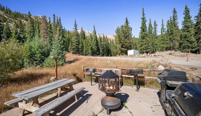 “Blue Bear” Perfect Mountain Getaway