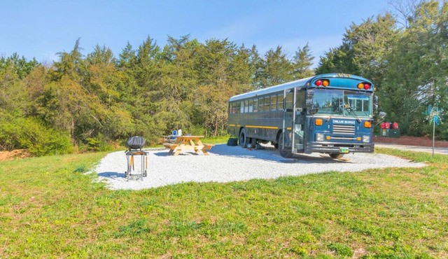 Blue Bird: Family Glamping on School Bus w/ Views!