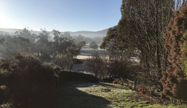 Blue Cockatoo - Humble Home Peaceful View