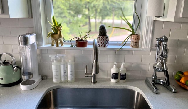 Blue Door Walk to Avondale Dog-friendly w Yard