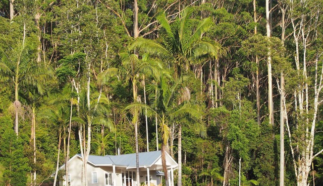 Blue Fig Cottage @ Nightcap Ridge