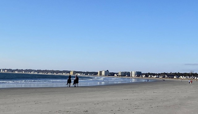 "Blue Heaven"- Airy cottage just steps from Pine Point Beach, Maine