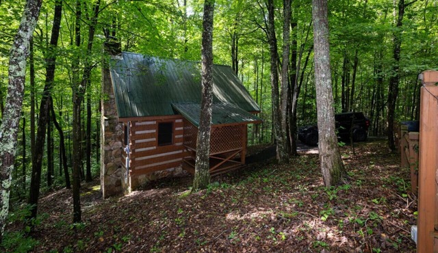 Blue Heaven-Quaint, cozy, authentic log cabin