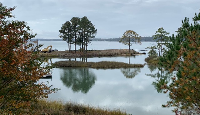 Blue Heron House with new waterfront view!