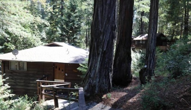 "Blue Heron" Suite River Access In Redwoods WiFi