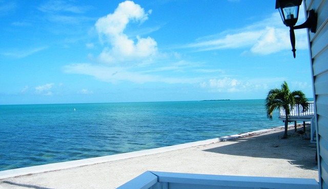 Blue Isle Gem II- Gulf of America in the front yard