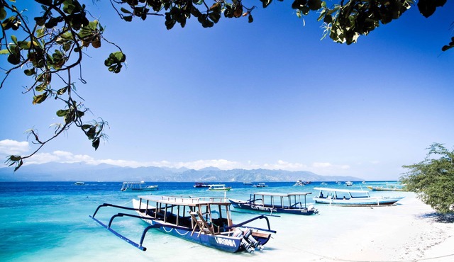 Blue Marlin Trawangan
