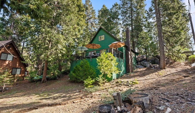 Blue Meadow-Pet Friendly+ near the lake!