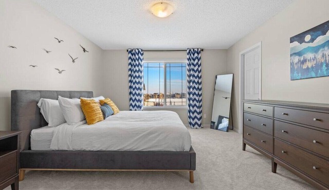 Blue Moon | Playground | Backyard | Pet Friendly